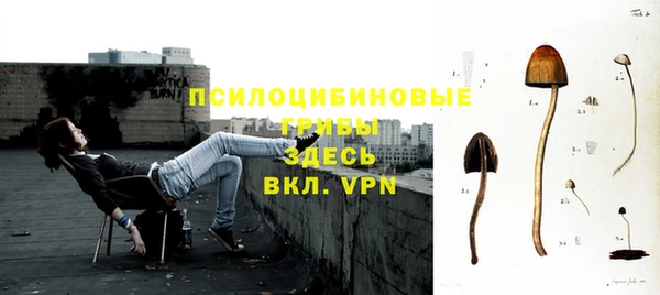 apvp Нефтекумск