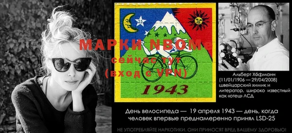 ПСИЛОЦИБИНОВЫЕ ГРИБЫ Новодвинск