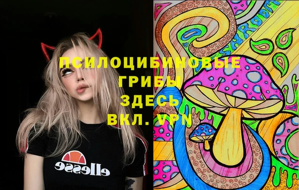 каннабис Новозыбков