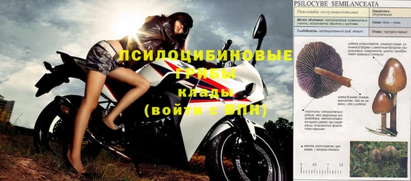 apvp Нефтекумск