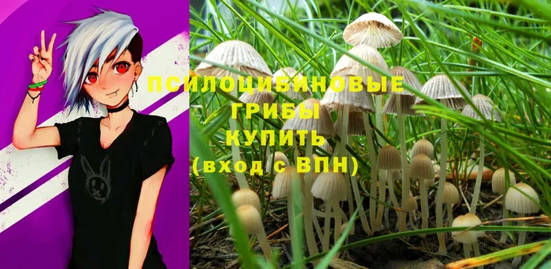 Галлюциногенные грибы Magic Shrooms  где найти наркотики  Кола 