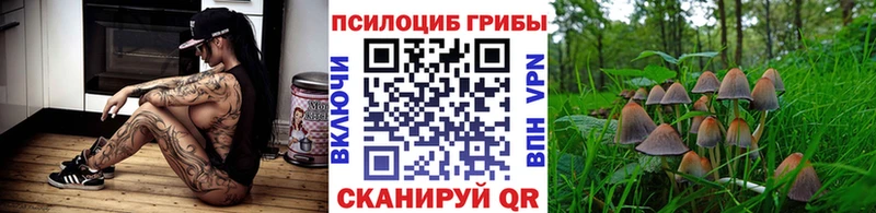 Псилоцибиновые грибы мицелий  Кола 